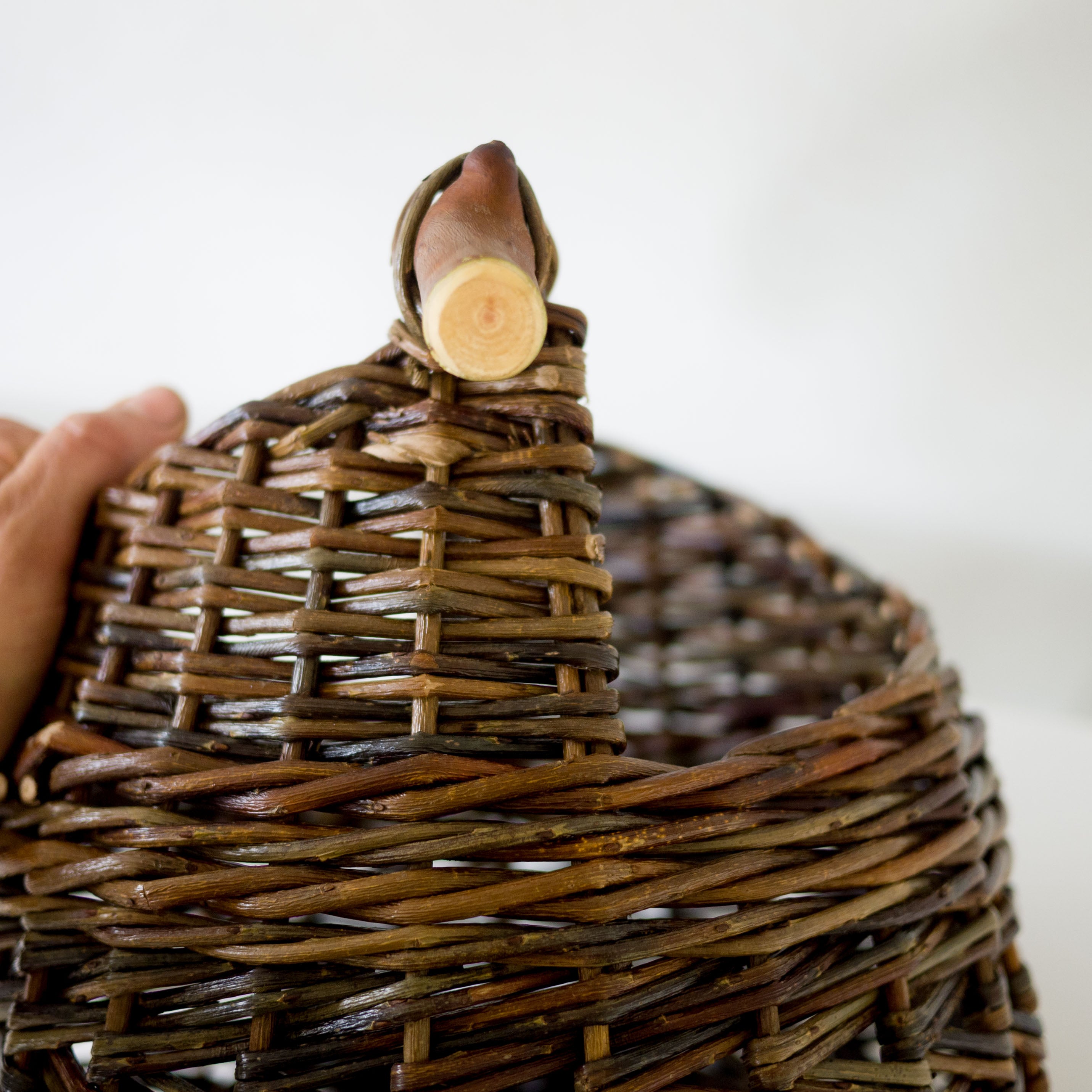 Sculptural Willow Basket with Madrona Wood Handle #2