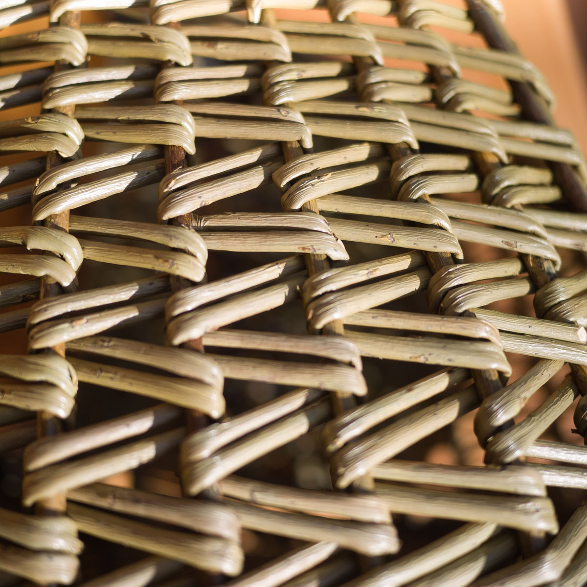 Sculptural Willow Basket with Madrona Handle